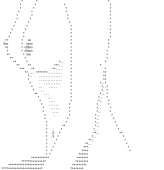 602x621