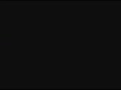 384x288