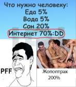 528x604