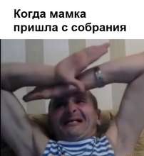 462x503