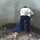360x360