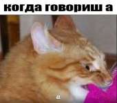 399x350