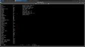 1366x768