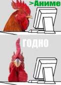426x592