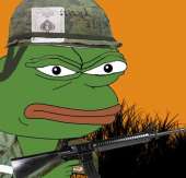 515x496