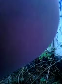 360x480
