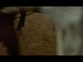 320x240