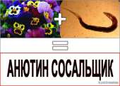 604x431