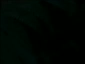 320x240