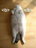 421x556