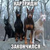 559x559