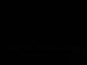384x288