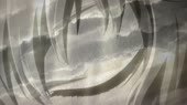 960x540
