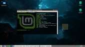 1366x768