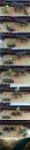 600x2996