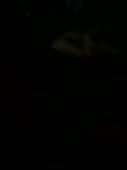 360x480