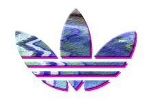 1000x660