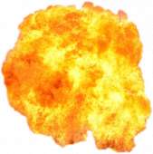 500x502