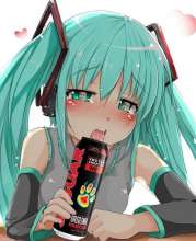 492x604