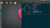 1366x768