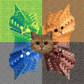 500x500