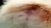 400x224