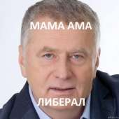 482x482