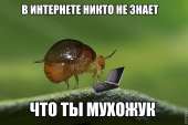 640x427