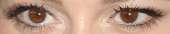 400x81