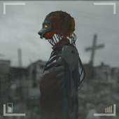 1080x1080