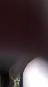 406x720