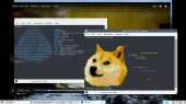 1366x768