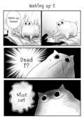 427x604