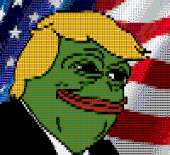 800x732