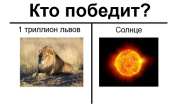 599x383