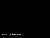 320x240