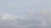 1280x720