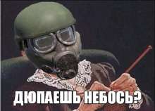 489x353