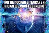 640x431