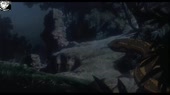 640x360