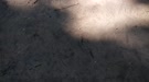 1200x675