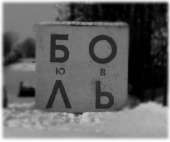 604x505