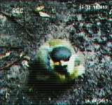 160x150