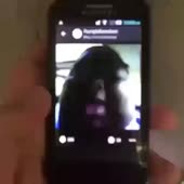 360x360