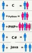 462x750