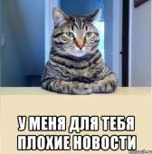 460x463