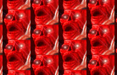 800x522