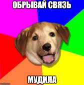 500x502