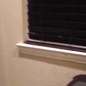 360x360
