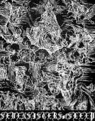 246x311